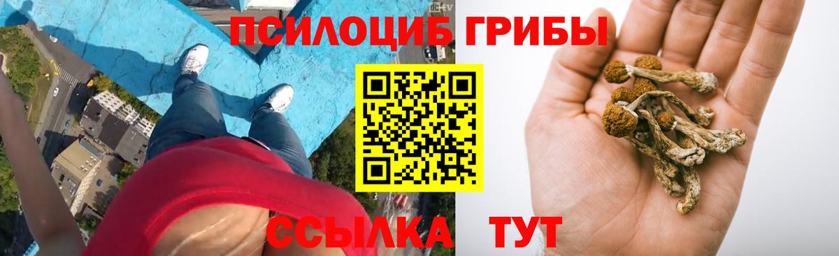 ГАШИШ Чехов